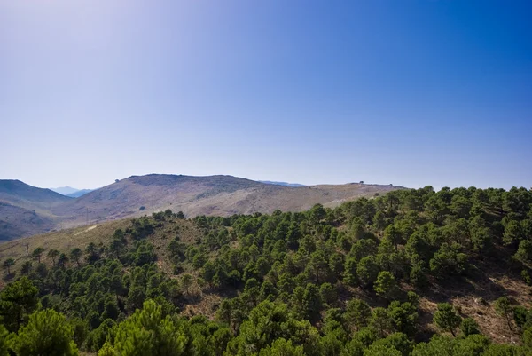 stock image Mountains and a blue sky