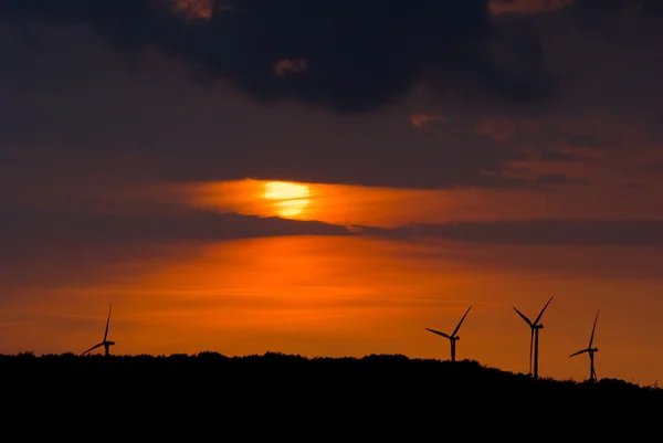 Turbinas eólicas ao pôr do sol — Fotografia de Stock