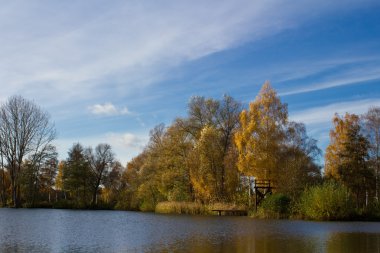 sonbahar sırasında manzara