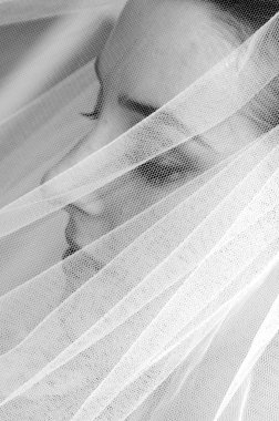 Bride in veil close up clipart