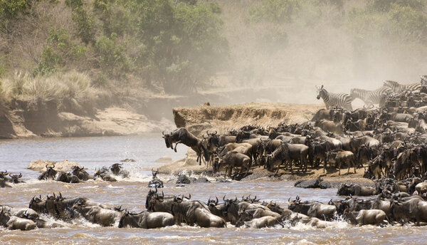 Great Migration