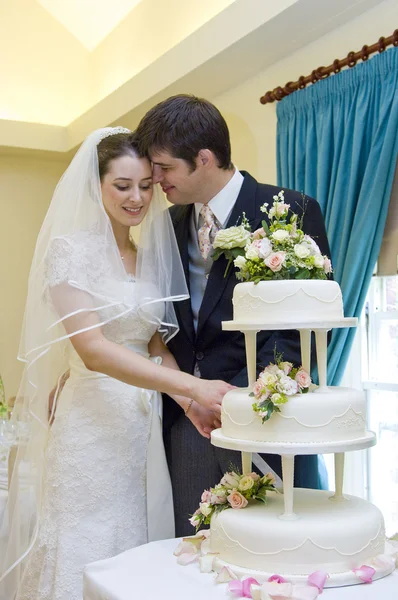 Braut und Bräutigam schneiden Hochzeitstorte lizenzfreie Stockbilder