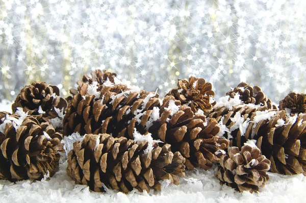 Snow covered pine cones