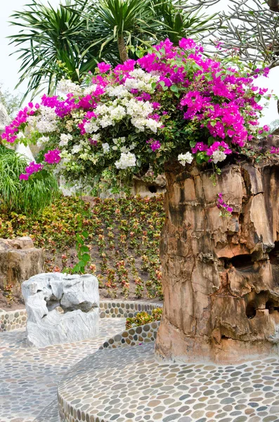 Schöne gärten in thailand — Stockfoto