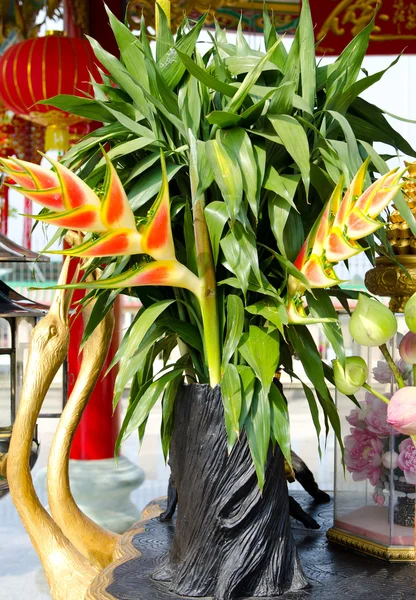 Exotic flower decoration — Stock Photo, Image