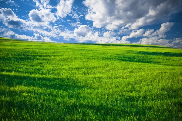 Πράσινο γρασίδι και μπλε ουρανός με σύννεφα — Φωτογραφία Αρχείου