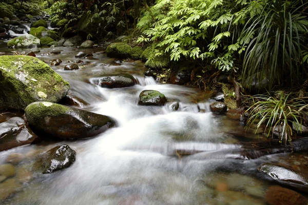 Arroyo — Foto de Stock