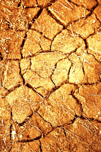 stock image Dried mud