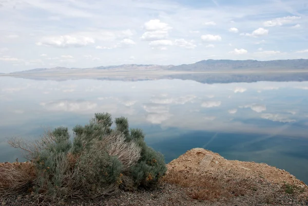 dağlar ve Nevada walker Gölü