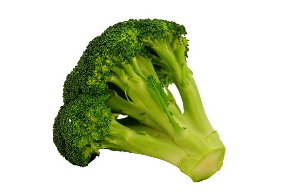 Beyaz arka planda taze brokoli.