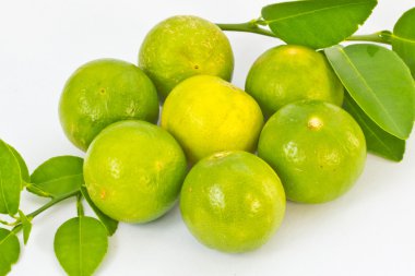 limon