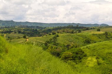 Grass on hill clipart