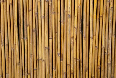 Fencing bamboo panel clipart