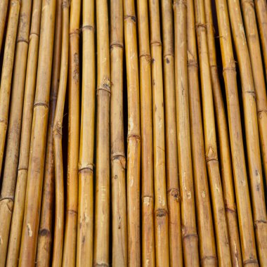 Bambu panel çit