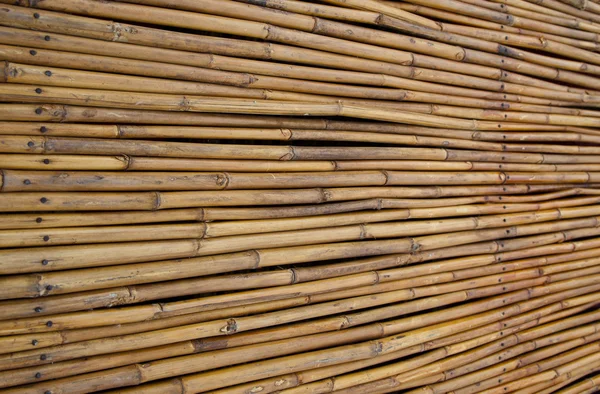 Fäktning bambu panel — Stockfoto