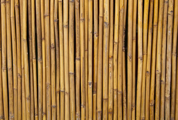 Esgrima painel de bambu — Fotografia de Stock