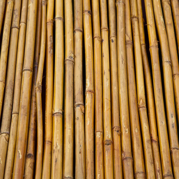 Панель бамбук фехтування — стокове фото