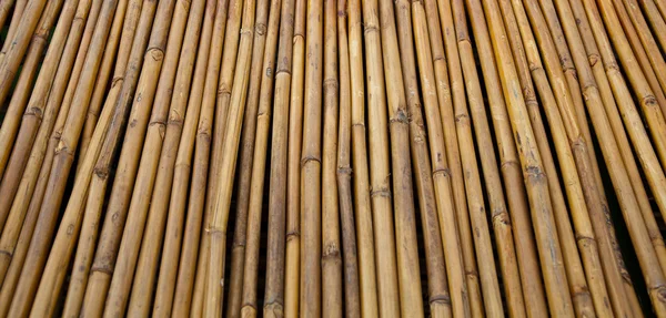 Ogrodzenia panel bambus — Zdjęcie stockowe