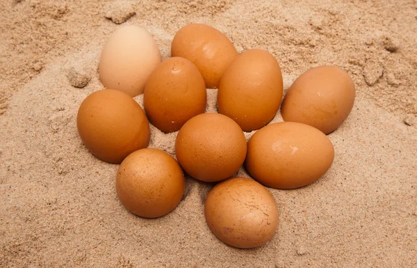 Ten egges in sand — Stock Photo, Image