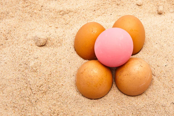 Egges in sand — Stock Photo, Image