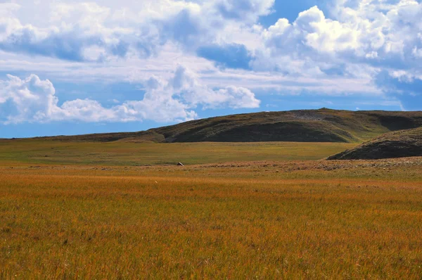 Tundra Hill — Stock Photo, Image