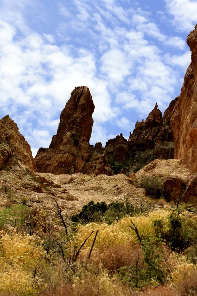 Arizona woestijn berg — Stockfoto