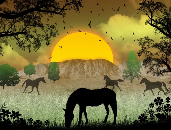 Дикие лошади на закате — стоковое фото