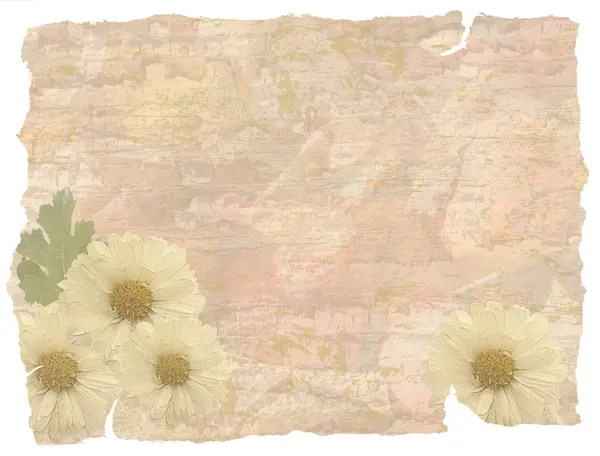 Grunge fondo floral —  Fotos de Stock