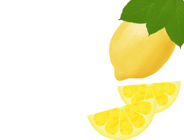 Citron — Stockový vektor