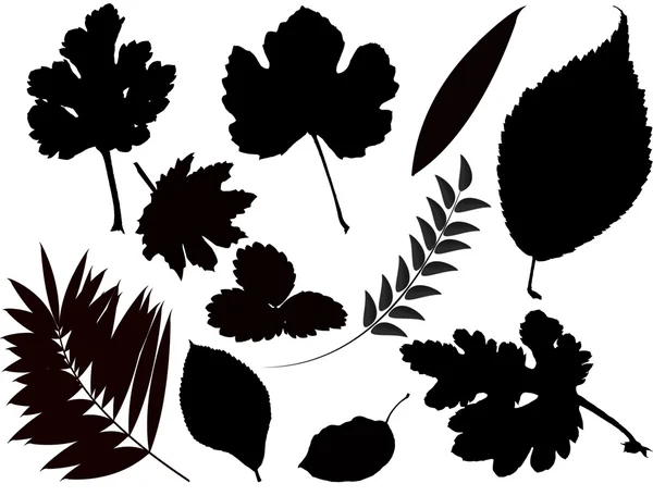 stock vector Leaves