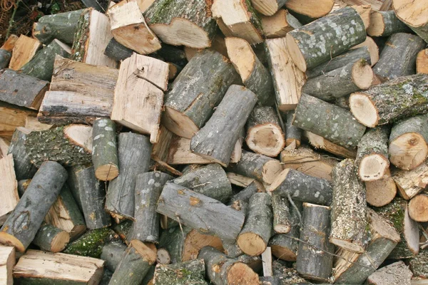 Una pila di legna da ardere — Foto Stock
