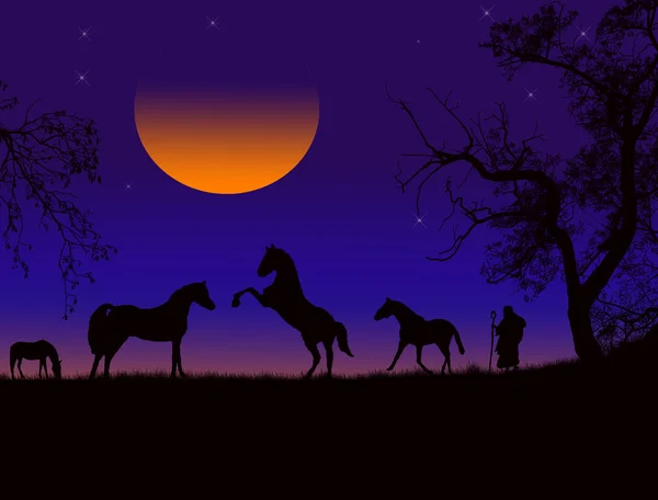 Solnedgång hästar siluett — Stock vektor