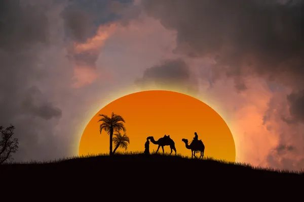Zachód słońca na Saharze — Wektor stockowy
