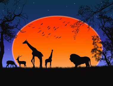 Safari clipart