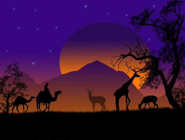 Safari Silhouetten Von Wildtieren Und Beduinen Mit Kamelen Vektorhintergrund — Stockvektor