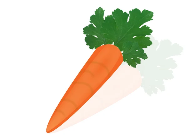 Оранжевая морковь — стоковый вектор