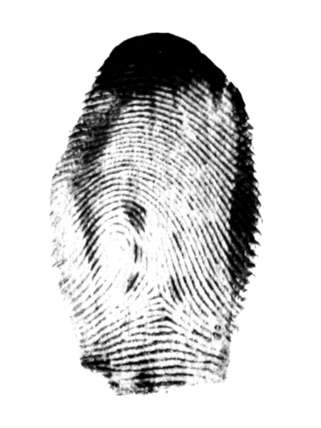 Impronte digitali — Foto Stock