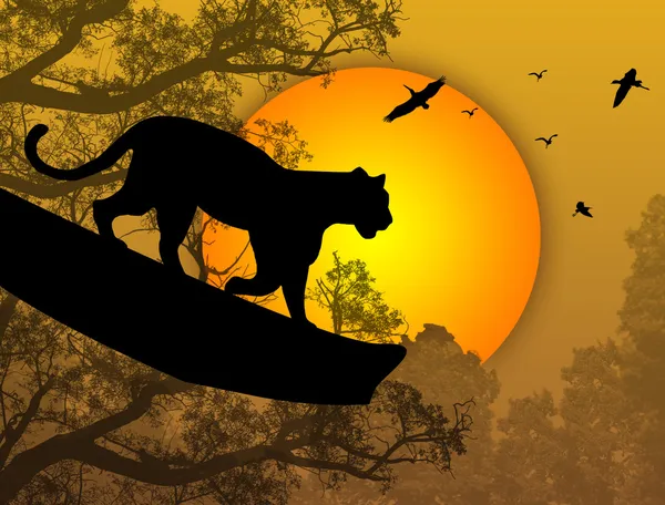 Panther auf einem Baum — Stockvektor