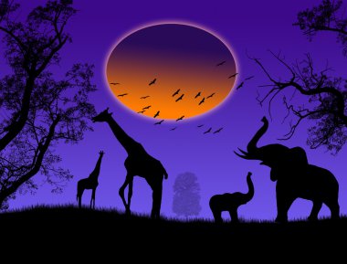 Wild animals on jungle clipart