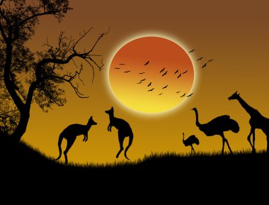 Wild animals clipart