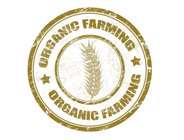 Grunge Rubber Stamp Wheat Symbol Text Organic Farming Written — Stock Vector