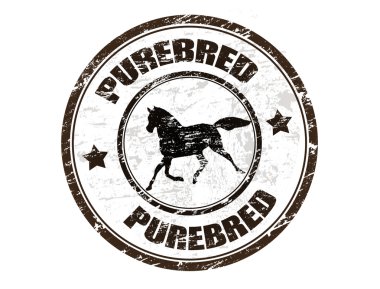 Purebred horse stamp clipart