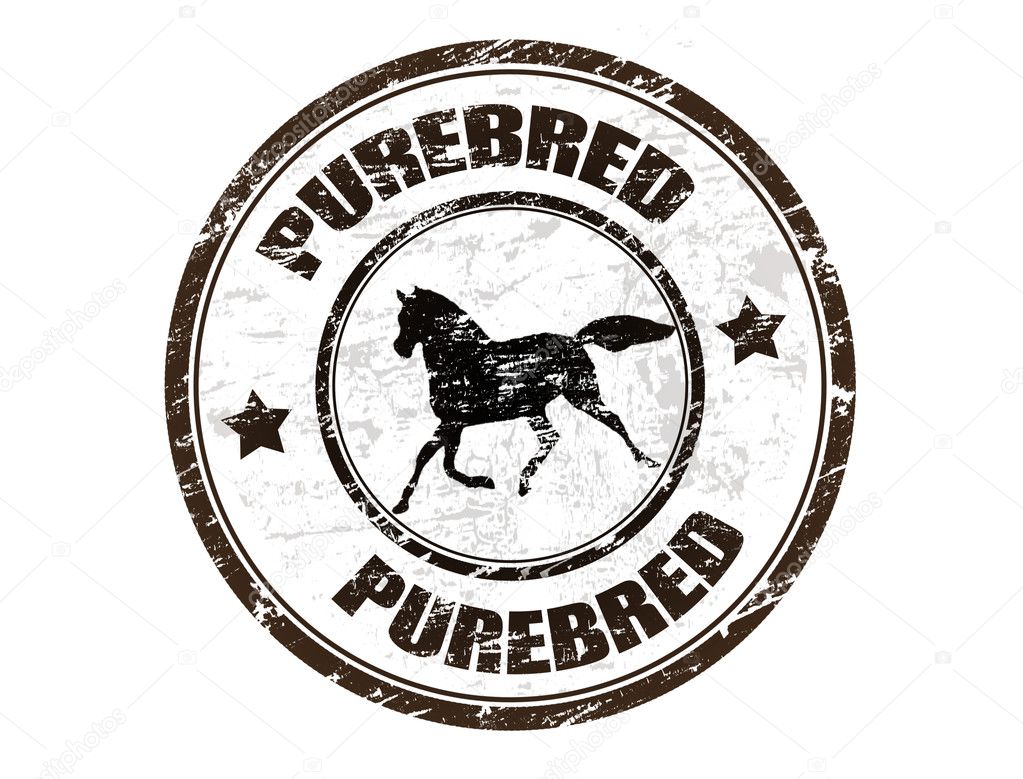 Purebred horse stamp