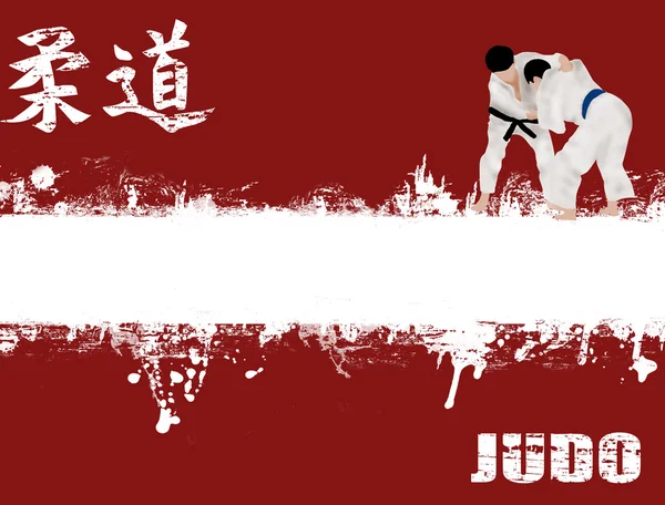 Manifesto del judo grunge — Vettoriale Stock