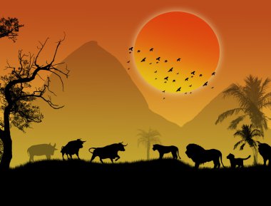 Wild animals clipart