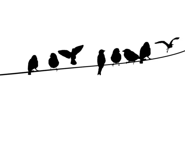 Oiseaux sur un fil téléphonique — Image vectorielle