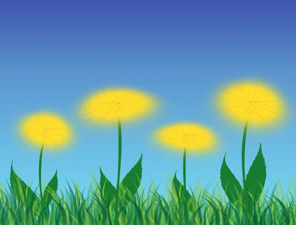 タンポポの花 — ストックベクタ