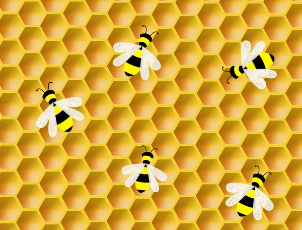 Bienenwaben — Stockvektor