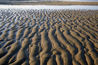 Ripples in sand clipart