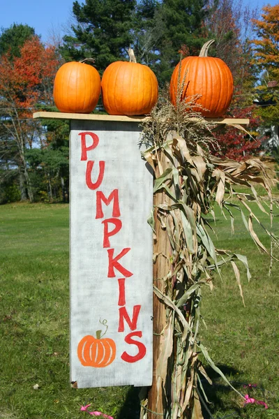 Pumpkins with sign — Stock Photo, Image